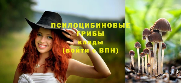 MESCALINE Пролетарск
