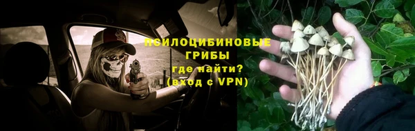 соль ск Балахна