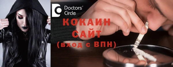 сатива Гусев