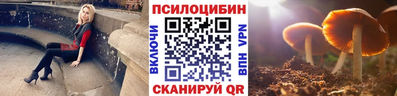 mega ссылки  Белозерск  Псилоцибиновые грибы Psilocybe 
